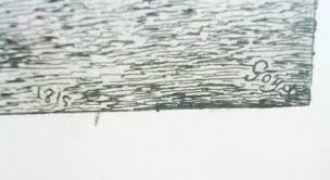 Les grues d'Hokkaido: Deux oiseaux combattants (1981), oil on canvas, 200 x 254 cm, Musï¿½e Bernard Buffet